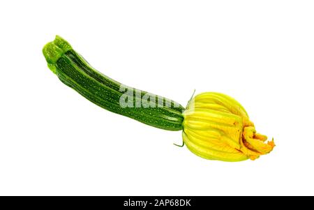 Zucchini or courgettes with flowers Close up. Zucchini (Cucurbita pepo), blossom and leaf isolated on white background. Stock Photo
