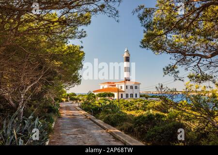 Path leading to Porto Colom lighthouse, Mallorca, bushes around Stock Photo