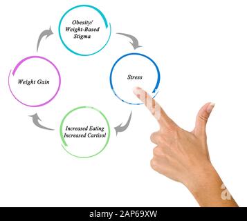 Cycle of Obesity / Weight-Based Stigma Stock Photo - Alamy