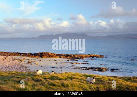 Clew Bay. South East from the north coast of Clew Bay to Croagh Patrick sacred mountain in County Mayo, Connacht, Ireland Stock Photo