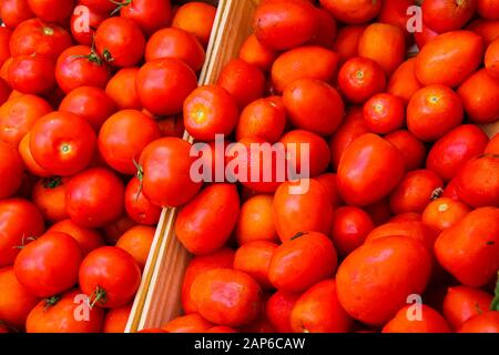 Full frame close up of shiny fresh ripe mini tomatoes in wood fruit box on French market - Provence, France Stock Photo