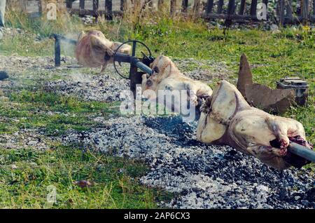 Lamb being roasted whole on a spit over open fire on a spit. Selective focus Stock Photo