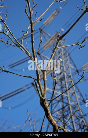 Electricity pylons in Birmingham, England,UK Stock Photo