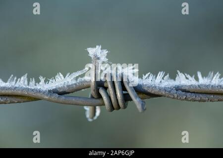 Frozen water on a barbed wire fence on the banks of the Dorset Stour river after a freezing night in January 2010. Gillingham Dorset England UK GB Stock Photo