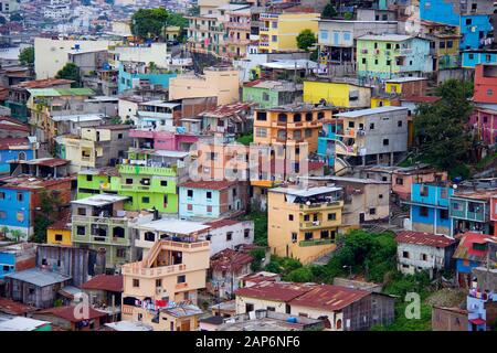 Colorful houses on a hill in a slum in Guayaquil, Ecuador Stock Photo