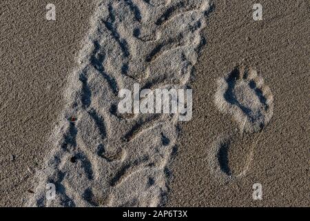 A close up of a vehicles tire track in the sand alongside a human footprint. Stock Photo