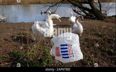 Plastic bags dumped at the Tesco superstore by the river Thames in Reading in 2008 amidst plans to reduce free supply of disposable bags issued by supermarkets. Stock Photo