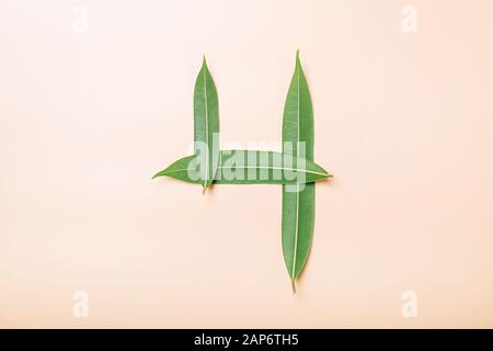 Number 4. Alphabet made from leaves Stock Photo