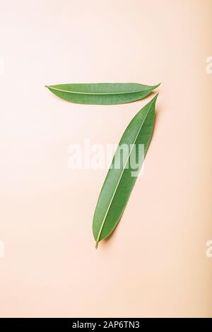 Number 7 made from green leaves. Stock Photo