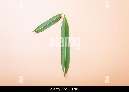 Number 1 made from green leaves. Stock Photo