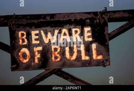Beware of Bull warning sign on field gate. Stock Photo