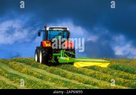 Farmer mowing a traditional hay meadow with a drum mower on a Steyr tractow, Cumbria, UK. Stock Photo