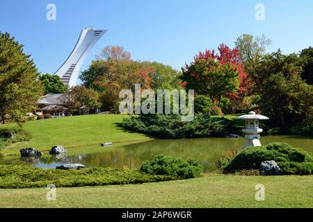 Botanical Garden and Olympic Tower in the background, Montreal (Quebec - Canada) Stock Photo