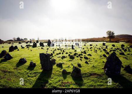 Beaghmore Stone Circles Neolithic and Bronze Age ritual site. Co. Tyrone, N. Ireland. S.E. over 800+ stones of Dragons Teeth Circle E to Circle D Stock Photo