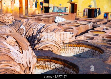 Leather dying in a traditional tannery in the city Fes, Morocco Stock Photo