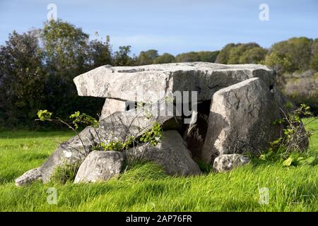 Craigs Lower prehistoric 4000 year old passage tomb, Ballymoney, N. Ireland. Neolithic burial chamber. The Broad Stone court tomb is 800m N.E. of here Stock Photo