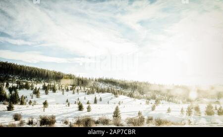 Wide angle with sun flare over gentle slope with snow and trees Stock Photo