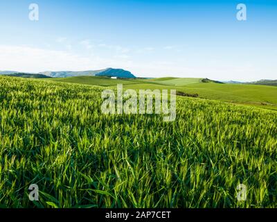 Ardales, Guadalteba, Málaga, Andalusia, Spain, Europe Stock Photo