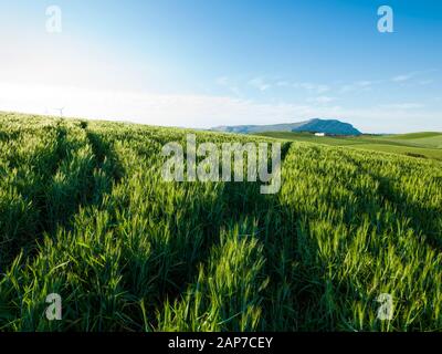 Ardales, Guadalteba, Málaga, Andalusia, Spain, Europe Stock Photo