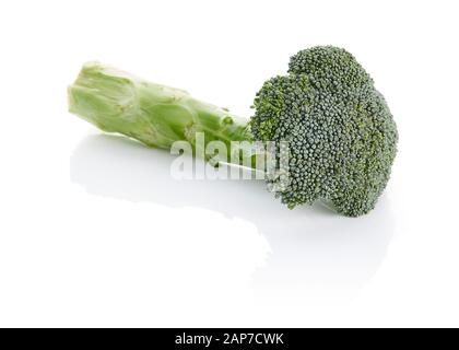 Broccoli Isolated on White Background Stock Photo