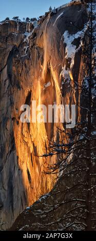 Firefall,Yosemite National Park is a rare phenomenon.The setting sun hits the waterfall in a perfect angle during a few days in February. Stock Photo