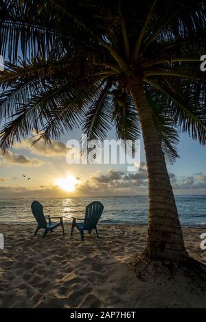 Beach Chairs on beach with palm trees Stock Photo