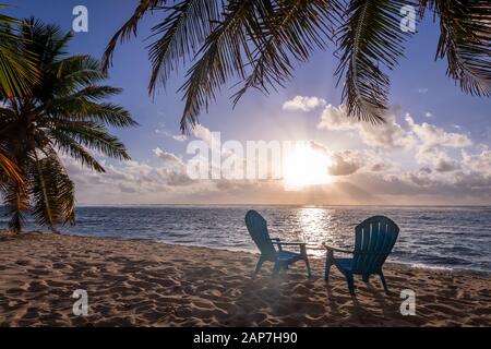 Beach Chairs on beach with palm trees Stock Photo