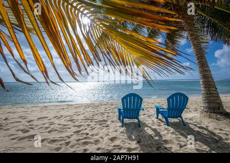 Beach Chairs on beach with palm trees Stock Photo