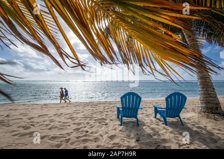 Retired American seniors walking on beach with palm trees and beach chairs Stock Photo