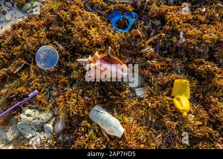 Trash and garbage washed up on shore contrasting with beautiful conch shell Stock Photo