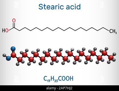 Stearic acid,  octadecanoic, saturated fatty acid molecule. Structural chemical formula and molecule model. Vector illustration Stock Vector