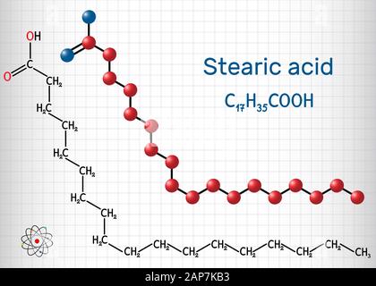 Stearic acid,  octadecanoic, saturated fatty acid molecule. Structural chemical formula and molecule model. Sheet of paper in a cage.Vector illustrati Stock Vector