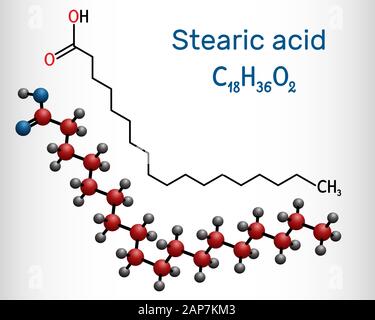 Stearic acid,  octadecanoic, saturated fatty acid molecule. Structural chemical formula and molecule model. Vector illustration Stock Vector