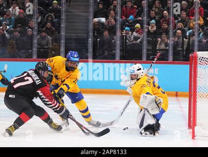 Lausanne, Switzerland. 21st Jan, 2020. Shimomukai Hina (L) of Japan scores during the ice hockey women's final between Japan and Sweden at the 3rd Winter Youth Olympic Games in Lausanne, Switzerland, on Jan. 21, 2020. Credit: Xiao Yazhuo/Xinhua/Alamy Live News Stock Photo