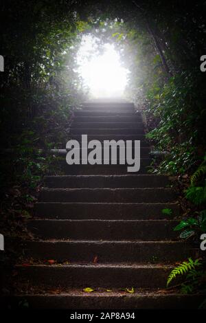 Bright light at the end of stairs through a dark, wooded tunnel Stock Photo