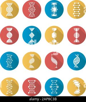 DNA helix flat design long shadow glyph icons set. Deoxyribonucleic, nucleic acid structure. Spiraling strands. Chromosome. Molecular biology. Genetic Stock Vector