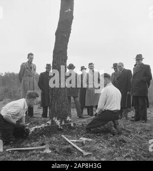 workers, forestry, spectators, tools Date: undated Keywords: workers, forestry, tools, spectators Stock Photo