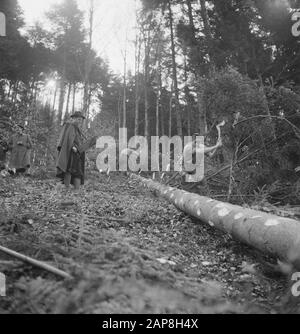 forestry, workers, tools, spectators Date: undated Keywords: workers, forestry, tools, spectators Stock Photo