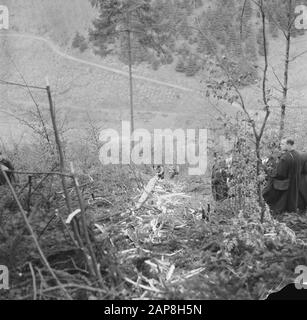 workers, forestry, spectators Date: undated Keywords: workers, forestry, spectators Stock Photo
