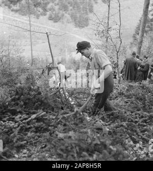 forestry, workers, tools, spectators Date: undated Keywords: workers, forestry, tools, spectators Stock Photo