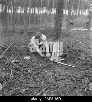 workers, forestry, tools Date: undated Keywords: workers, woodworking, tools Stock Photo