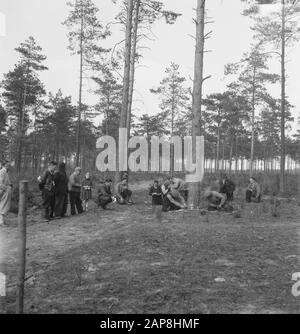 forestry, workers, tools, spectators Date: undated Keywords: workers, forestry, tools, spectators Stock Photo
