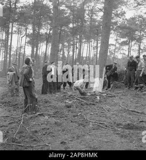 workers, forestry, tools, spectators Date: undated Keywords: workers, forestry, tools, spectators Stock Photo