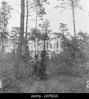 forestry, workers, tools Date: undated Keywords: workers, woodworking, tools Stock Photo