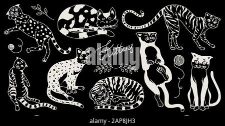 Collection of cats. Washing, playing and sleeping animals. Cute funny Domestic kitty on a black background. Hand drawn engraved sketch for banner or t Stock Vector