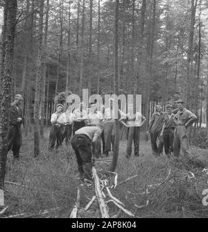 forestry, workers, tools, work Date: undated Keywords: workers, forestry, tools, work Stock Photo
