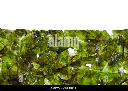 Macro image of the edge a dried seaweed sheet on a white background Stock Photo