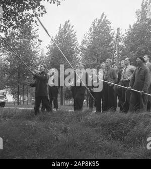 workers, trees, tools, work Date: undated Keywords: workers, trees, tools, work Stock Photo