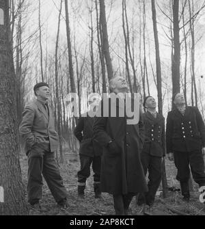 forestry, workers, watch Date: undated Keywords: workers, woodworking, watch Stock Photo
