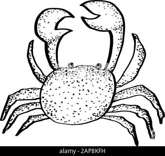 Hand drawn textured crab for coloring page. Single black line. Doodle vector line illustration isolated on white. Vector isolated outline drawing. Bea Stock Vector